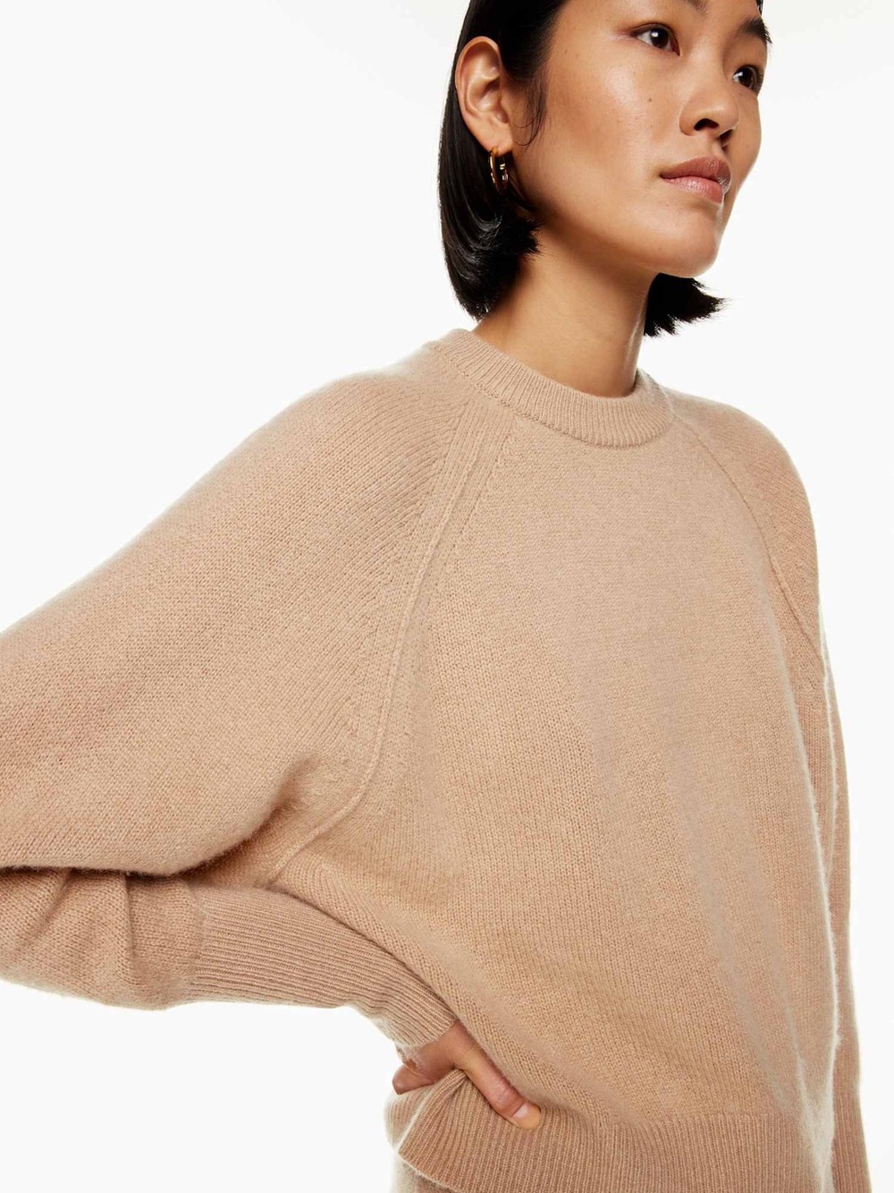 Aritzia The Group by Babaton
Luxe Cashmere Crewneck Sweater In tan, S